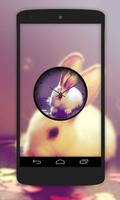 Rabbit Clock Live Wallpaper скриншот 2