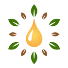Young Living Essential Oils Re ícone