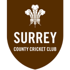 Surrey Cricket icon