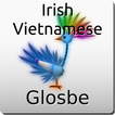 Irish-Vietnamese Dictionary