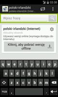 Polish-Irish Dictionary Affiche