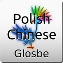 Polsko-Chiński słownik APK