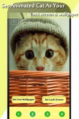 Katze-Verschlussschirm APK Herunterladen