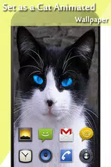 Katze-Verschlussschirm APK Herunterladen