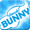 CloudBunny Hosting Panel
