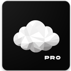 CloudSane Pro : Sync media files to cloud ícone