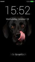 Puppy Dog Lock Screen Affiche