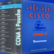 Resume CCNA 1