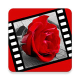 Love Quotes & Love Story Videos icon