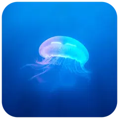海洋精靈主題 獵豹鎖屏大師 APK 下載