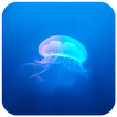 Jellyfish CM locker Theme