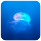 Jellyfish CM locker Theme icon