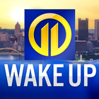 WPXI icon