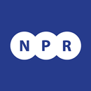 NPR New Parts Ricambi APK