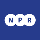 NPR New Parts Ricambi aplikacja