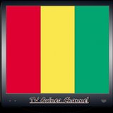 Infos sur la chaîne TV Guinée icône