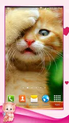 Cute Wallpapers APK download