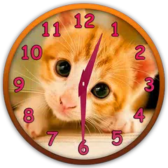 Niedlichen Katzen Uhr Widget