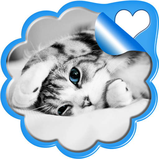 Sweet Kittens Live Wallpaper