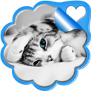 Fonds d'écran Chats - Chatons APK