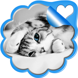 Sweet Kittens Live Wallpaper icon
