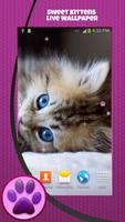 Bayi Kucing Lucu Wallpaper screenshot 2