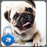 Pug dog lock screen icon