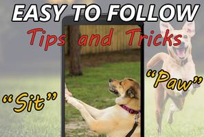 Dog Basic Training Guide الملصق