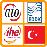 Türk Logomatik icône