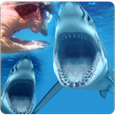 Hungry Predator Shark APK