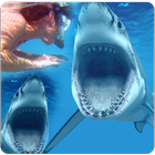 Hungry Predator Shark icon