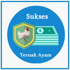 Tips Sukses Ternak Ayam 图标