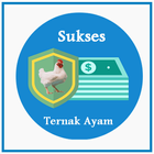 Tips Sukses Ternak Ayam icono