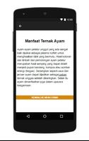 Tips Sukses Ternak Ayam 海报