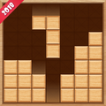Wood Block Puzzle