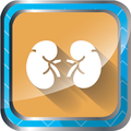 Kidney Disease Recommendations