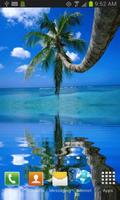 Coconut Tree on the Beach LWP Affiche