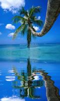 Coconut Tree on the Beach LWP capture d'écran 2