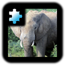 Yapboz: Fil APK