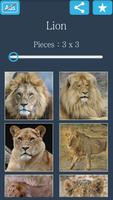 Jigsaw Puzzle: Lion poster