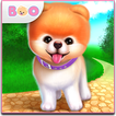 ”Boo - The World's Cutest Dog