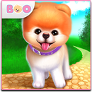 Boo: der süßeste Hund der Welt APK