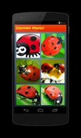 Ladybug Puzzle ảnh chụp màn hình 2