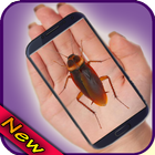 Cockroach on Hand Prank icône