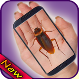Cockroach on Hand Prank icon