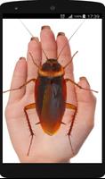 Cockroach on Hand Prank تصوير الشاشة 1