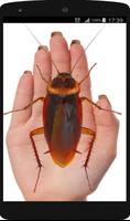 Cockroach on Hand Prank syot layar 1