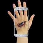 Cockroach On Hand Prank icône