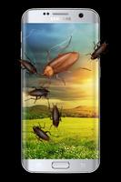 Cockroach on Screen gönderen