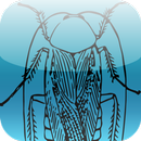 Таракан Trick! APK